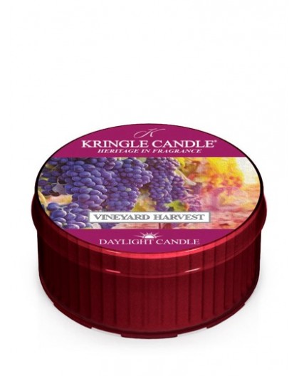 Kringle Vineyard Harvest Daylight Candle